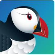 Puffin Browser Pro Mod Apk V10.0.0.51608  For Android