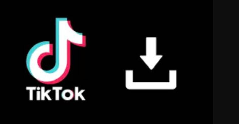 Tiktok Sin Marca De Agua APK